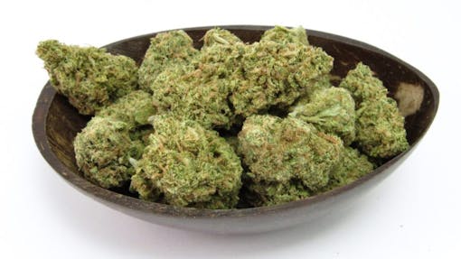 Let the blue sky come out. Blue Dream. (David Downs/Leafly)